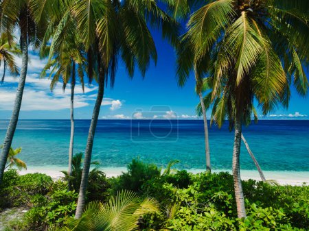 Foto de Vista aérea del hermoso paraíso Maldivas playa tropical con palmeras de coco en la isla. Concepto de vacaciones de verano y viajes. - Imagen libre de derechos
