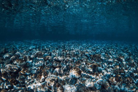Foto de Océano claro submarino con fondo de piedra y reflexión sobre la superficie. - Imagen libre de derechos