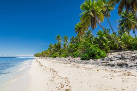 Téléchargez les photos : Plage de vacances de luxe sur l'atoll des Maldives. Bannière tropicale avec océan bleu - en image libre de droit