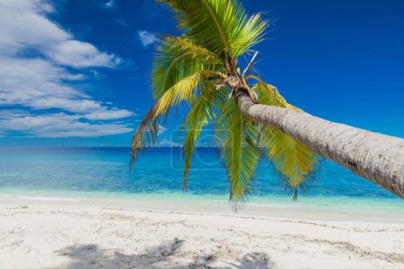 Téléchargez les photos : Plage de palmiers de luxe aux Maldives. Bannière de vacances tropicale avec océan bleu - en image libre de droit