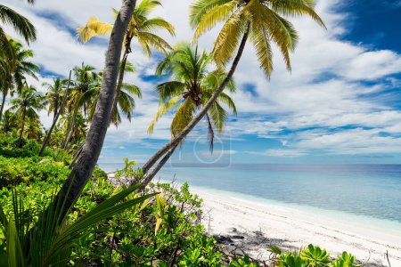 Foto de Playa de vacaciones de lujo en atolón de Maldivas. Banner tropical con océano azul - Imagen libre de derechos