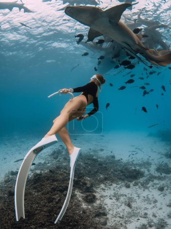 Téléchargez les photos : Une femme mince plonge dans une eau tropicale claire avec des requins nourrices aux Maldives - en image libre de droit