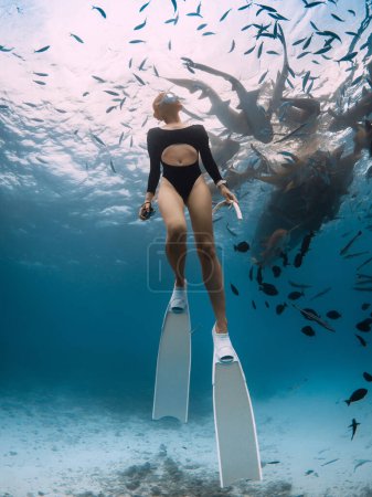 Téléchargez les photos : Femme nage le long des requins nourrices aux Maldives. Vue sous-marine de la fille nageant avec le requin dans l'océan - en image libre de droit