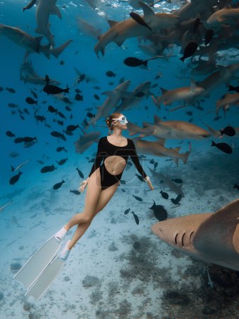 Téléchargez les photos : Slim femme freediver dans une eau tropicale claire avec des requins nourrices aux Maldives - en image libre de droit
