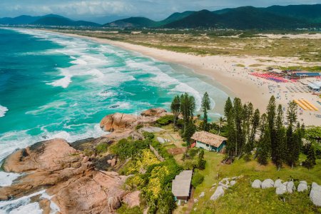 Popular holiday Joaquina beach with trees and ocean with waves in Brazil. Aerial view of coastline