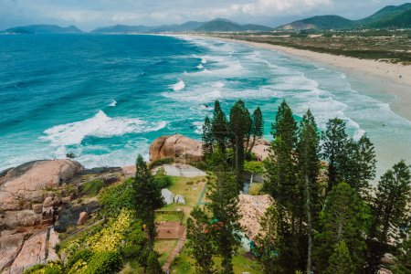 Téléchargez les photos : Plage de Joaquina avec arbres et océan bleu avec vagues au Brésil. Vue aérienne du littoral - en image libre de droit