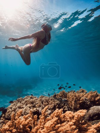 Photo for Woman swims underwater in tropical blue sea. Snorkeling in Hawaii - Royalty Free Image