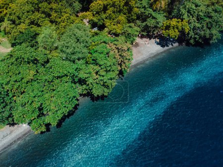 Téléchargez les photos : Vue aérienne du littoral de la plage avec océan bleu transparent et arbres. - en image libre de droit