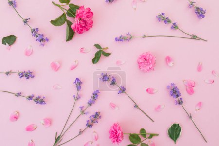 Téléchargez les photos : Motif floral de roses roses et de fleurs de lavande isolées sur fond rose. Plat, Vue sur le dessus - en image libre de droit