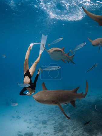 Téléchargez les photos : Femme plonge avec les requins dans une mer tropicale aux Maldives. Plongée en apnée avec requins - en image libre de droit