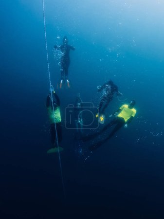 Téléchargez les photos : 04 mars 2024. Nusa Penida, Indonésie. Groupe d'amis plongeurs en combinaison de plongée amusant sous l'eau sur profondément dans l'océan bleu. Plongée libre professionnelle en mer transparente - en image libre de droit