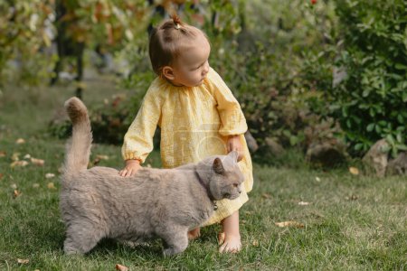 Photo for Beautiful child girl and fluffy Scottish cat in backyard garden - Royalty Free Image