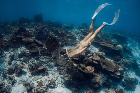 Téléchargez les photos : Femme plongée en apnée dans la mer bleue tropicale. Freediver fille nage sous l'eau à Hawaï - en image libre de droit