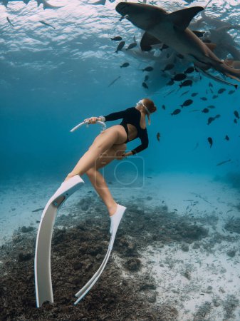 Photo for Sexy woman freediver in tropical sea swim with nurse sharks in Bahamas - Royalty Free Image