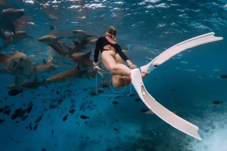 Sexy woman snorkeling in tropical sea with nurse sharks in Bahamas