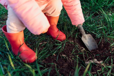 Photo for Child girl legs in boots with a shovel in the field. Sunset light - Royalty Free Image