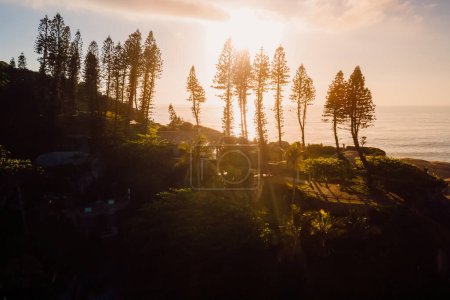 Téléchargez les photos : Côtes pittoresques avec silhouette d'arbres et d'océan au lever du soleil chaud au Brésil. Vue aérienne - en image libre de droit