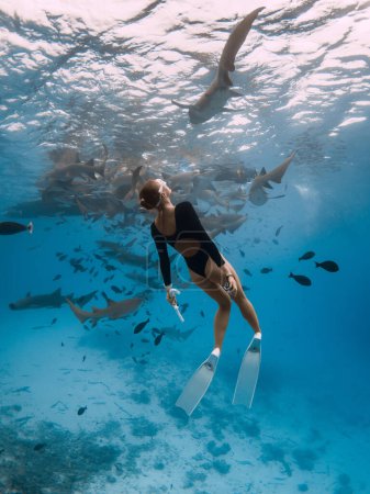 Téléchargez les photos : Femme plongeuse dans une eau tropicale claire avec des requins nourrices aux Maldives - en image libre de droit
