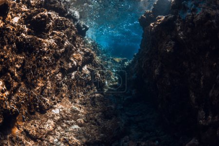 Foto de Escena submarina con corales, peces y rayos de sol. Mar azul tropical - Imagen libre de derechos