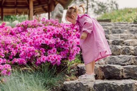 Téléchargez les photos : Petite fille enfant en fleurs jardin d'été sent une fleur rose. - en image libre de droit