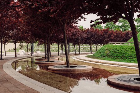 City park with modern design and trees with red foliage and an artificial pond
