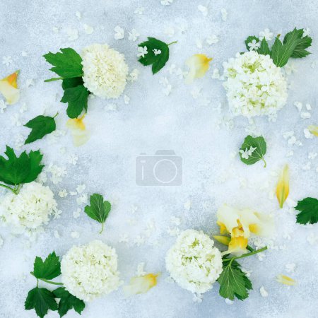 Foto de Marco de flores blancas sobre fondo gris. Puesta plana - Imagen libre de derechos
