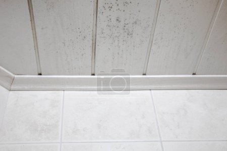 Photo for Start of mold build-up on bathroom ceiling, still with simple cleaning solution. Ceiling molding in interior fungal mold by the shower. needs cleaning white wooden background top view - Royalty Free Image