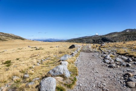 Photo for Dirt stone hiking trail to the Laguna Grande de Gredos lake from the Plataforma de Gredos in Sierra de Gredos mountains, dry brown grass, autumn, Spain. - Royalty Free Image