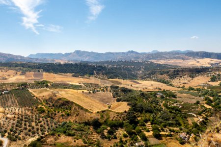 Andalusische Landschaft mit Blick auf Felder und spanische Weinberge in der Nähe von Ronda, Spanien, an sonnigen Sommertagen, Berge im Hintergrund.