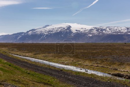 Eyjafjallajokull volcán tapa de hielo y vista de la montaña glaciar visto a través de los árboles verdes en el valle de Thorsmork, Islandia.