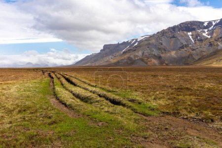 Paisaje montañoso del valle de Thorsmork en el sur de Islandia, camino de tierra con profundos surcos, vegetación verde.