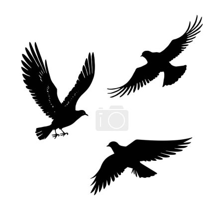 Ilustración de Vector silueta aves voladoras sobre fondo blanco. Palomas pájaros - Imagen libre de derechos