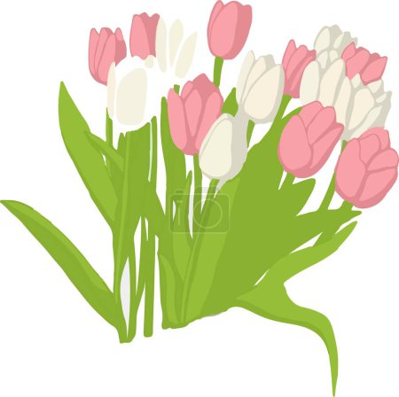 Illustration for Tulip flower tulips on white background, concept card for Mothers Day, 8 March - International Women's Day - Royalty Free Image