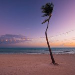 blurred light bokeh with coconut palm tree background on sunset, tropical sea and sand. yellow string lights with bokeh