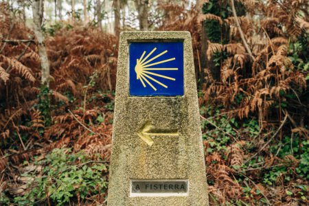Wegmarkierung Steinpfosten mit Jakobsmuschel-Symbol und gelbem Pfeilschild im Frühlingsfeld außerhalb von Sarria, Galicien auf dem Jakobsweg Camino de Santiago.