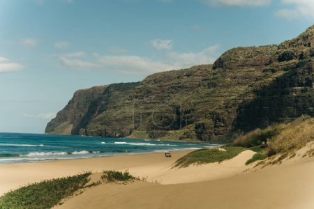 Téléchargez les photos : Aboiements plage de sable kauai hawaii. Photo de haute qualité - en image libre de droit