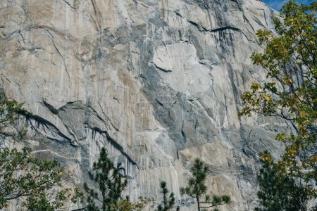 close up El Capitan in Yosemite Valley. High quality photo