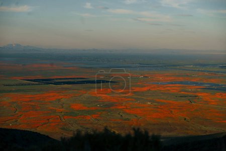Antelope Valley California Poppy Reserve State Natural Reserve. Hochwertiges Foto