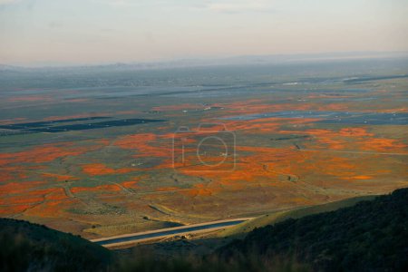 Antelope Valley California Poppy Reserve State Natural Reserve. Hochwertiges Foto