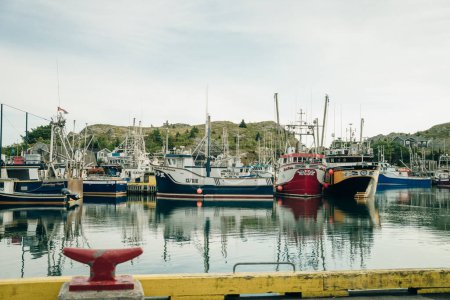 Foto de Terranova, Canadá - Agosto 2022: Múltiples barcos de pesca de colores en un pequeño puerto protegido en Port de Grave. Foto de alta calidad - Imagen libre de derechos