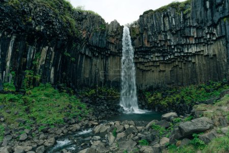Famous Svartifoss waterfall. Another named Black fall. Located in Skaftafell, Vatnajokull National Park, Iceland. High quality photo