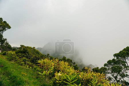 scenic overlook over foggy knife-edged kalalau valley and the pacific ocean in kauai, hawaii. High quality photo