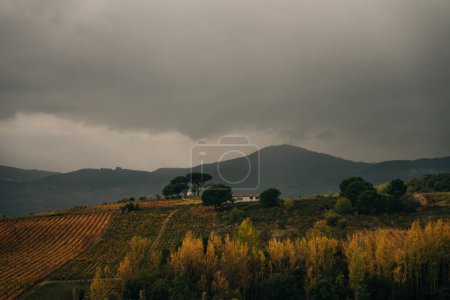 VILLAFRANCA DEL BIERZO, SPANIEN -Okt 2022 Blick auf die Weinberge in der spanischen Landschaft. Hochwertiges Foto
