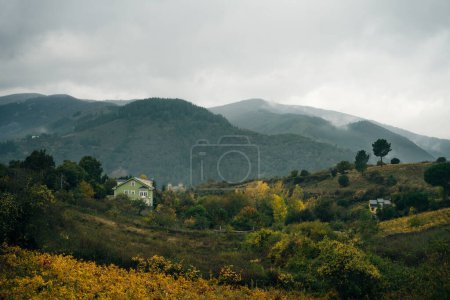 VILLAFRANCA DEL BIERZO, ESPAÑA-OCT 2022 Vista de los viñedos en la campiña española. Foto de alta calidad