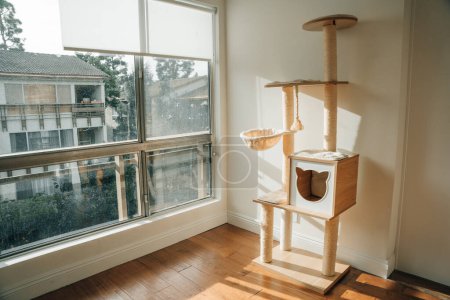  arbre à chat en bois dans la maison moderne. Un arbre à chat est une structure artificielle pour qu'un chat puisse jouer. Photo de haute qualité