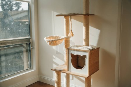  wooden cat tree in modern house. A cat tree is an artificial structure for a cat to play. High quality photo