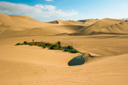 Foto de El HuacThe Huacachina Oasis, en las dunas de arena del desierto cerca de la ciudad de Ica, Perú achina Oasis, en las dunas de arena del desierto cerca de la ciudad de Ica, Perú. Foto de alta calidad - Imagen libre de derechos