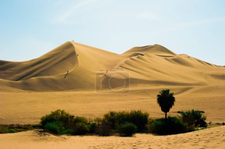 El HuacThe Huacachina Oasis, en las dunas de arena del desierto cerca de la ciudad de Ica, Perú achina Oasis, en las dunas de arena del desierto cerca de la ciudad de Ica, Perú. Foto de alta calidad