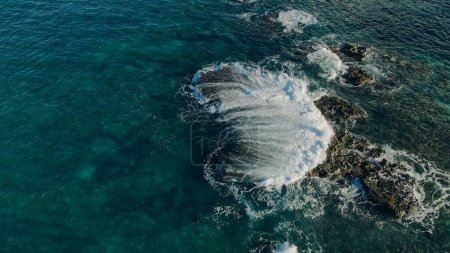 Téléchargez les photos : Vue aérienne du littoral de la plage à Hawaï, États-Unis. Photo de haute qualité - en image libre de droit
