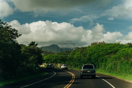 Autopista a través de un exuberante bosque tropical en Kauai, Hawai. Foto de alta calidad
